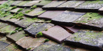 Lound roof repair costs